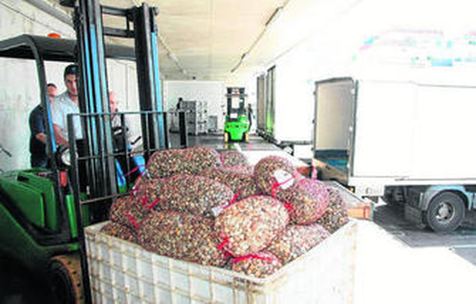 Un operario de una lonja transporta un cargamento de chirlas.