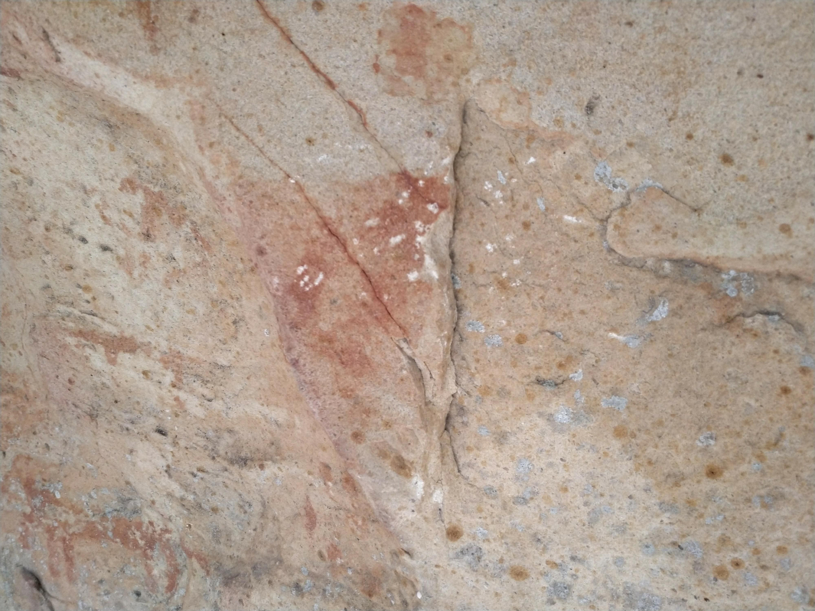 Los daños por vandalismo en Bacinete, en imágenes