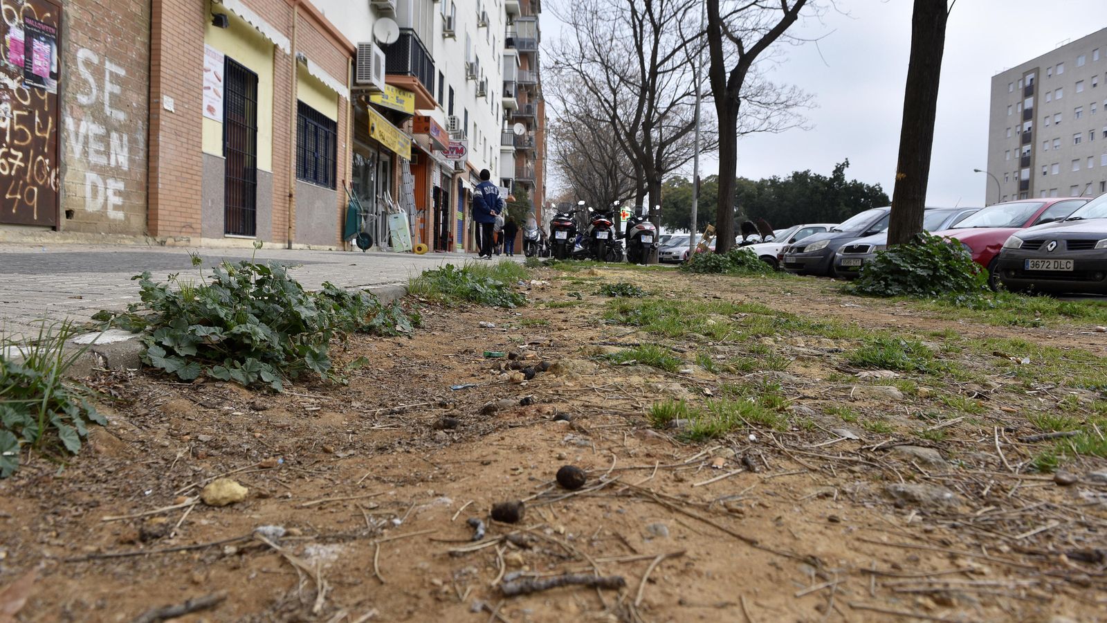 El estado de los parterres de Sevilla Este.