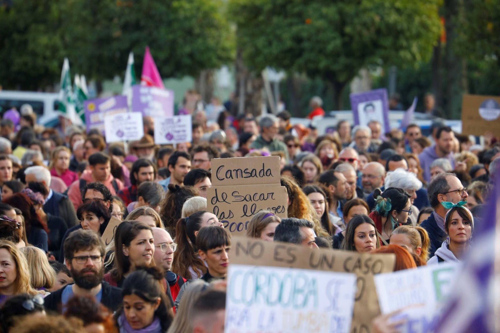 La manifestación del 8M en Córdoba, en imagenes