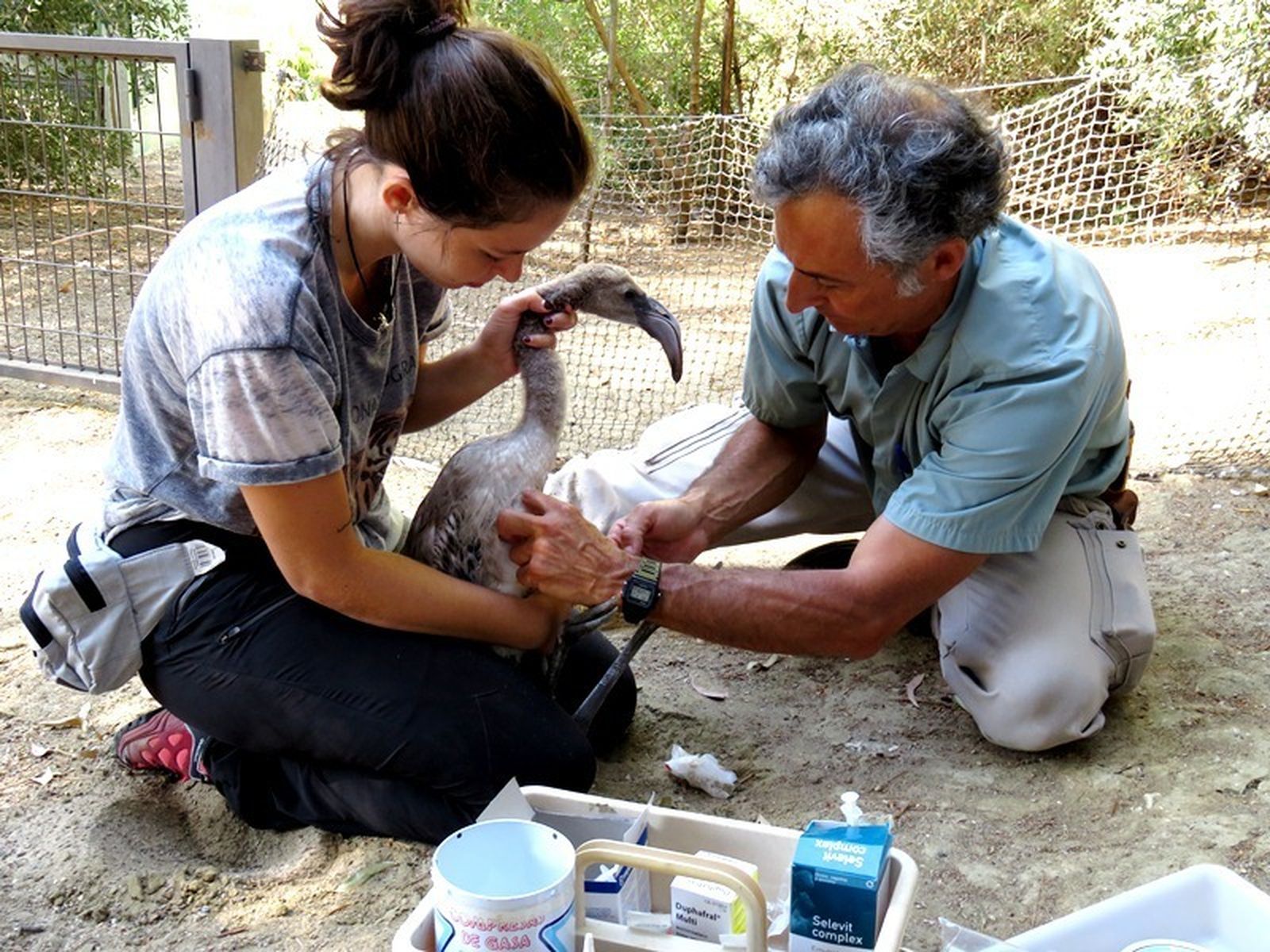 Imagen de la nueva cría que lleva el nombre del conocido artista jerezano.