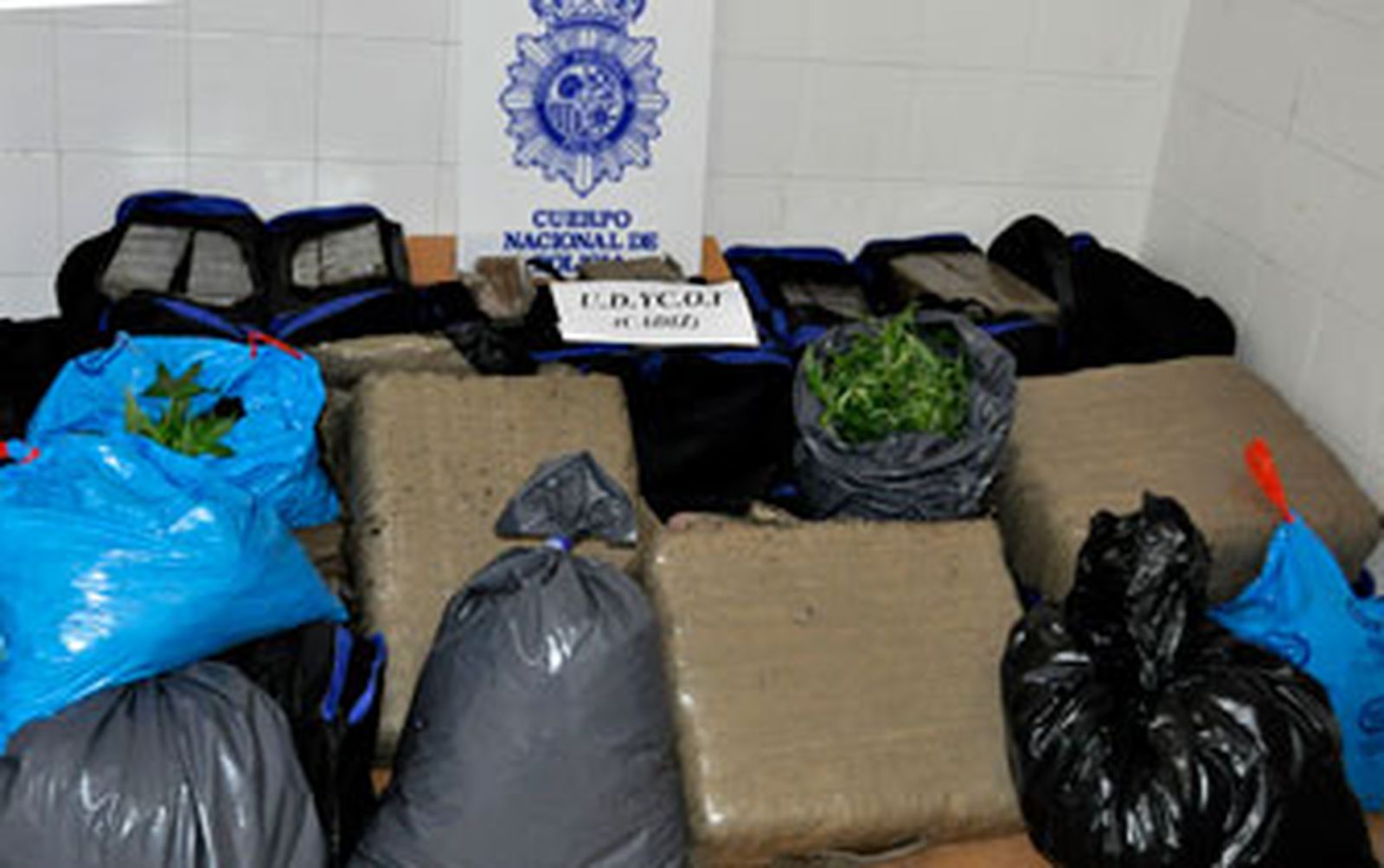 Incautados 400 kilos de hachís y 397 plantas de marihuana