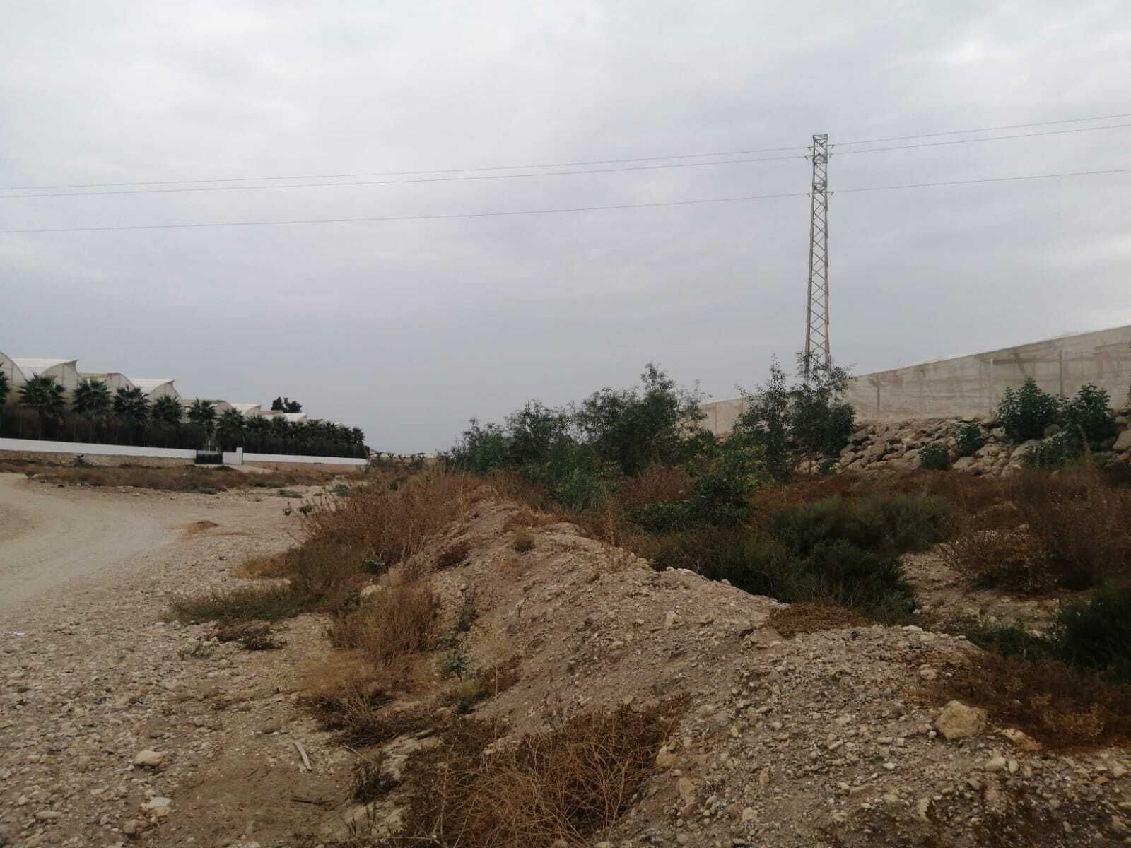 Imagen del estado de la rambla de Níjar remitida por Coag Almería