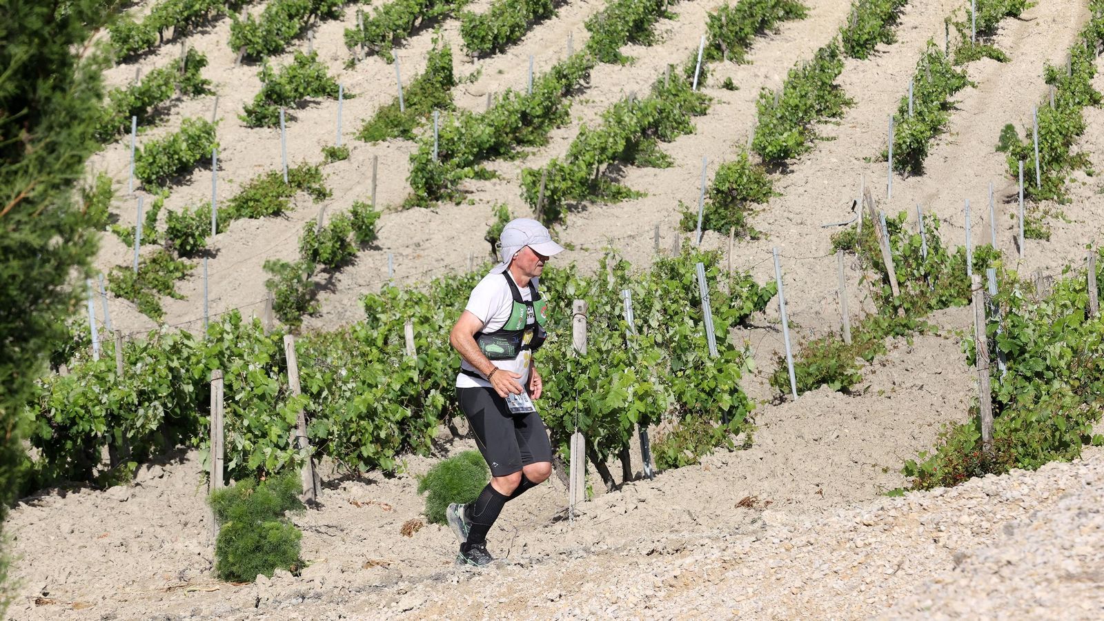 Búscate en la Sherry Maratón 2025 de Jerez (I)