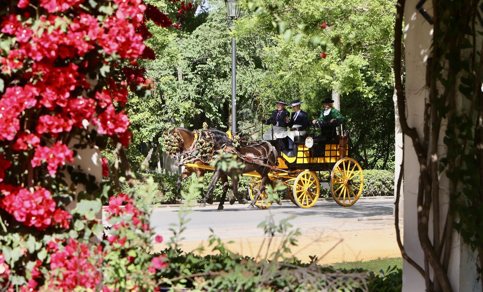 X copa CIAT   Concurso de Enganches