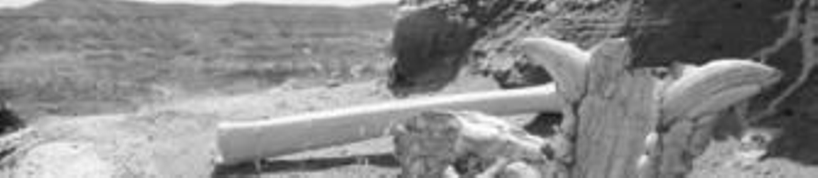 Excavaciones en Fonelas en 2002.