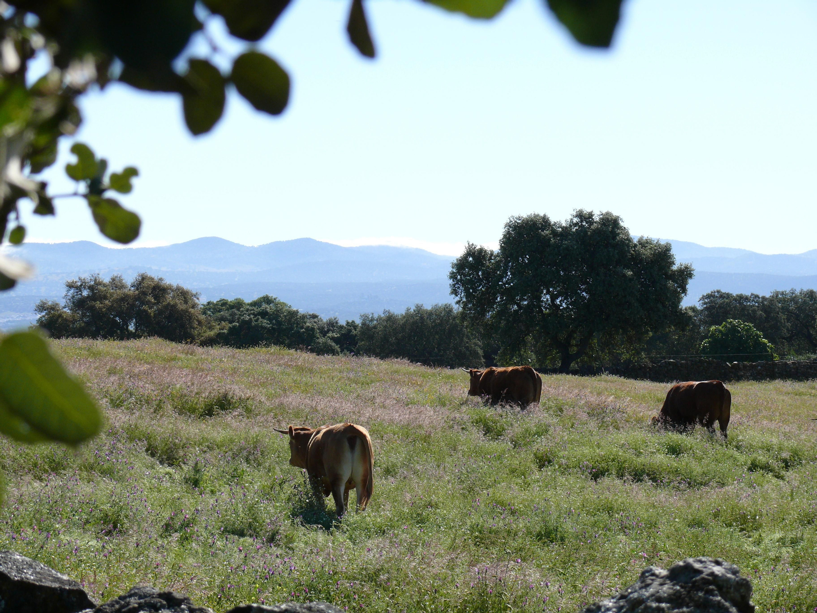 Las imágenes de la ruta del Teuler