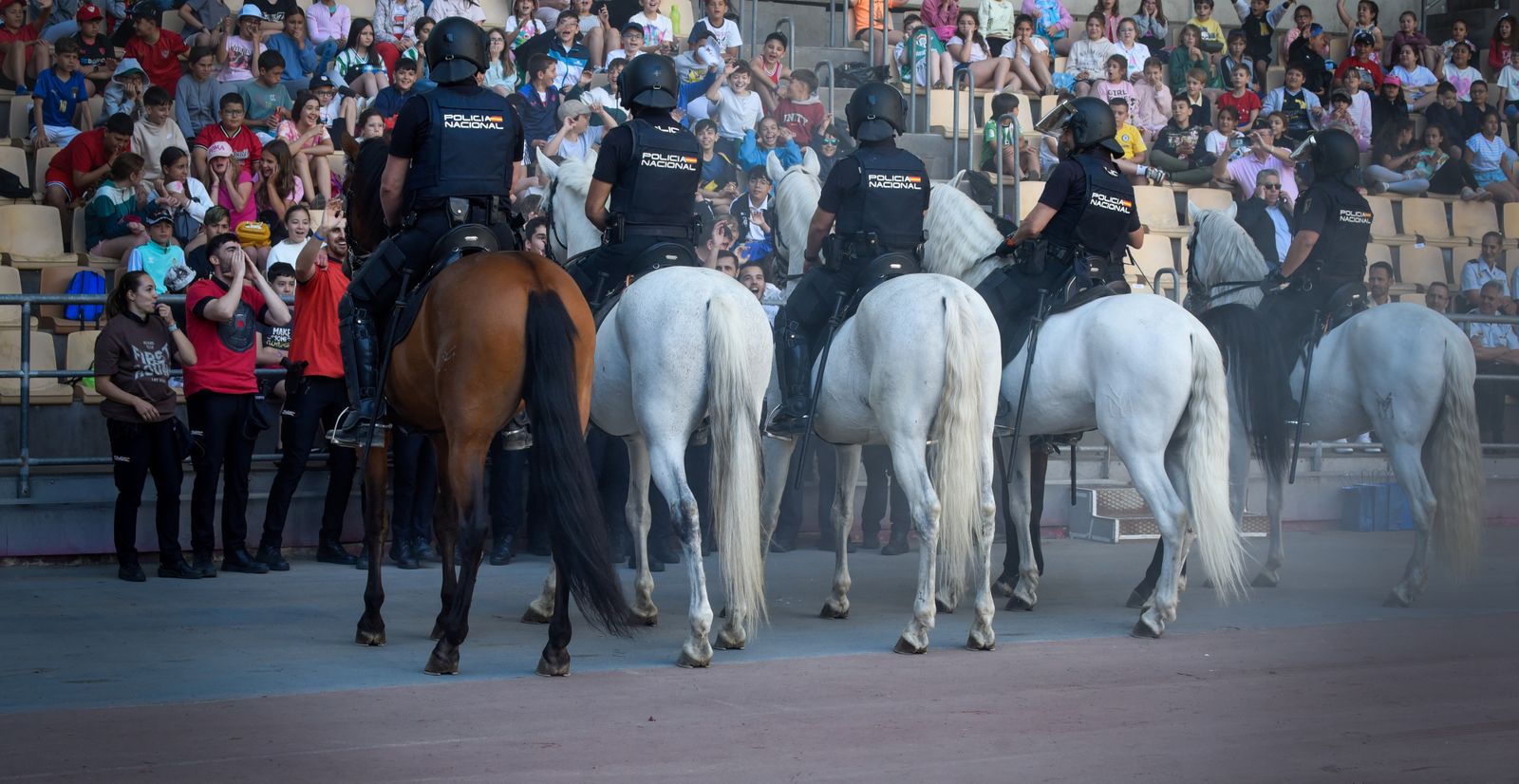 La exhibición policial con participación de la Unidad Aérea, Guías Caninos y Caballería, en imágenes