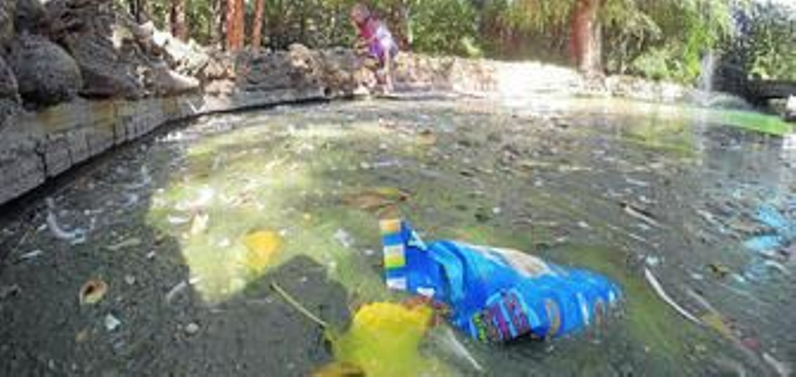 Un envoltorio flotando en uno de los estanques del Parque de María Luisa.