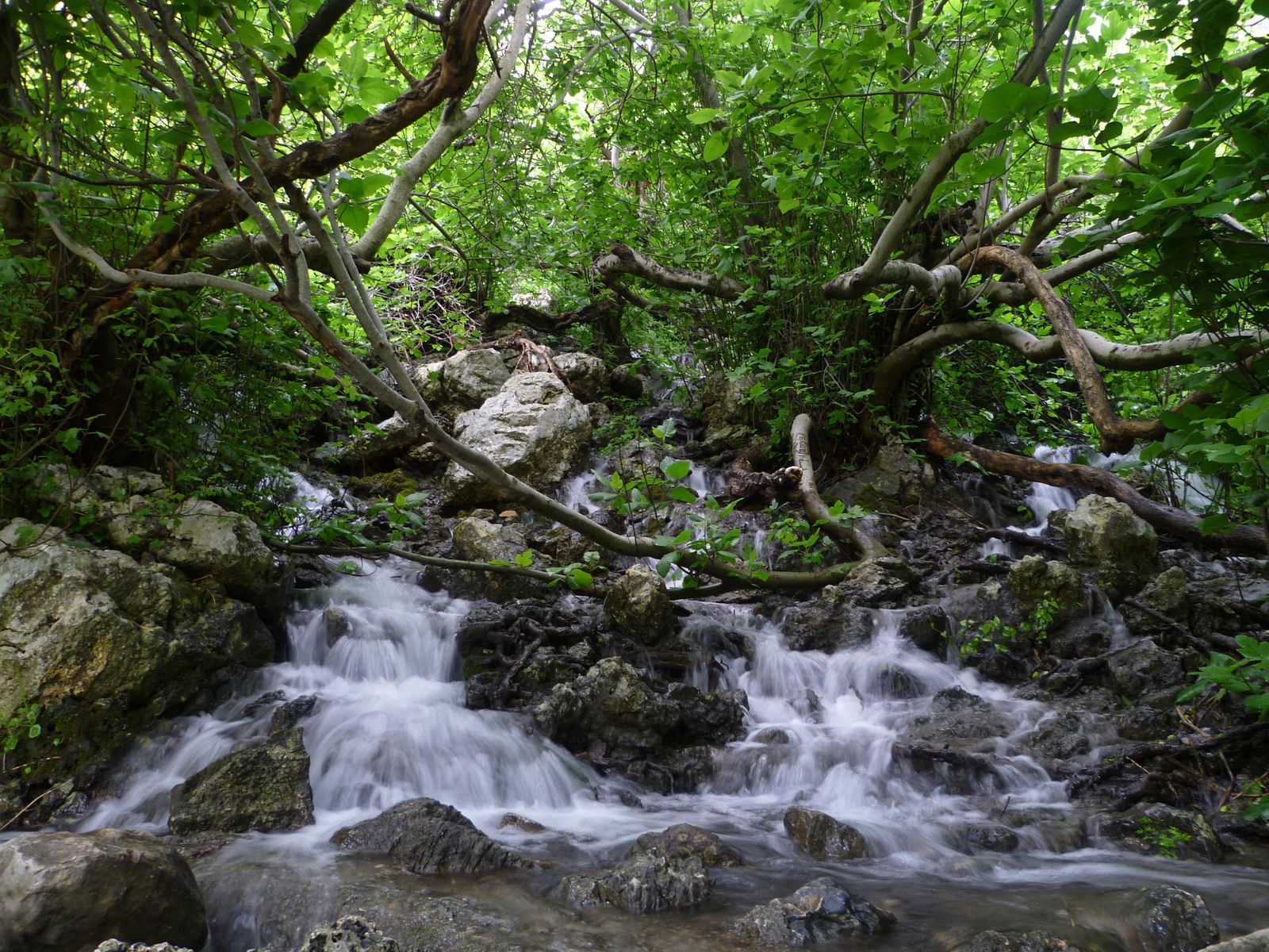 Manantial de Villanueva de la Concepción, procedente del acuífero en la sierra de Jobo.