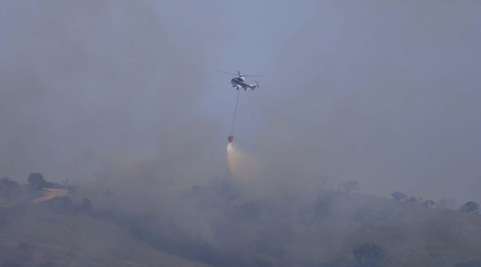 Las fotos del incendio forestal entre las Pantallas y Marchenilla, en Algeciras