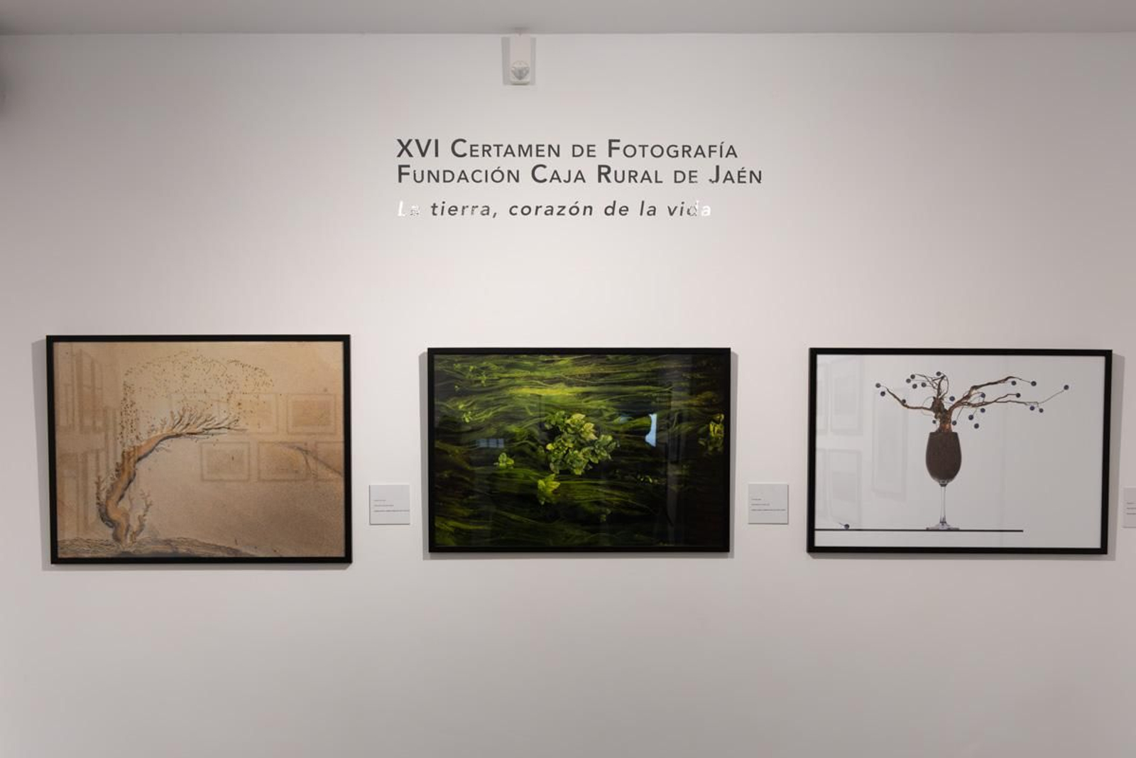 Exposición La Tierra, corazón de la vida, en imágenes