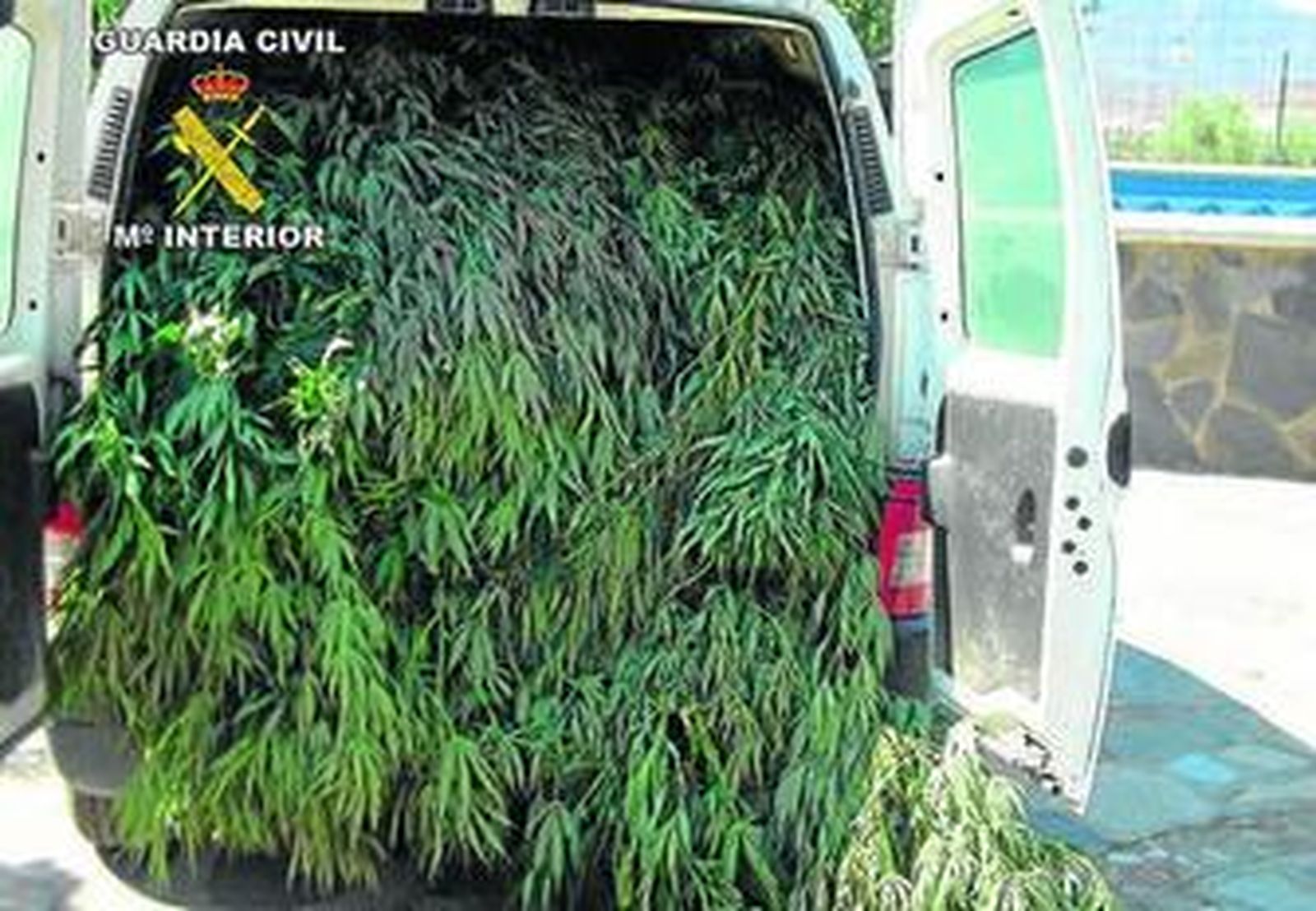 La marihuana se cultivaba en un invernadero de Tabernas.