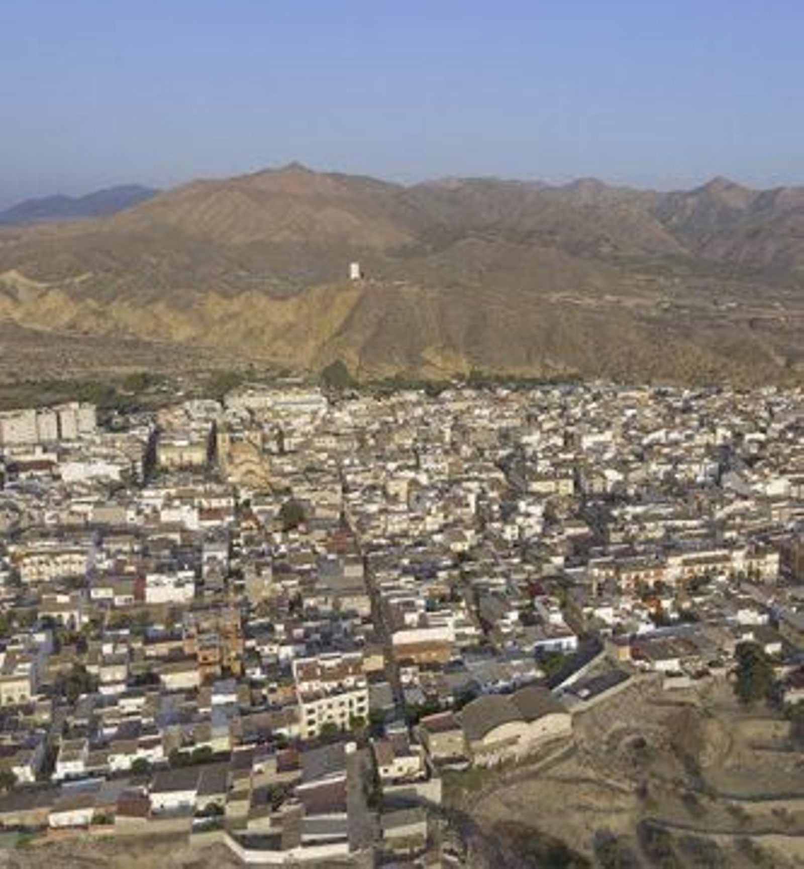 El Consejo Local fue aprobado en Pleno el pasado 30 de mayo