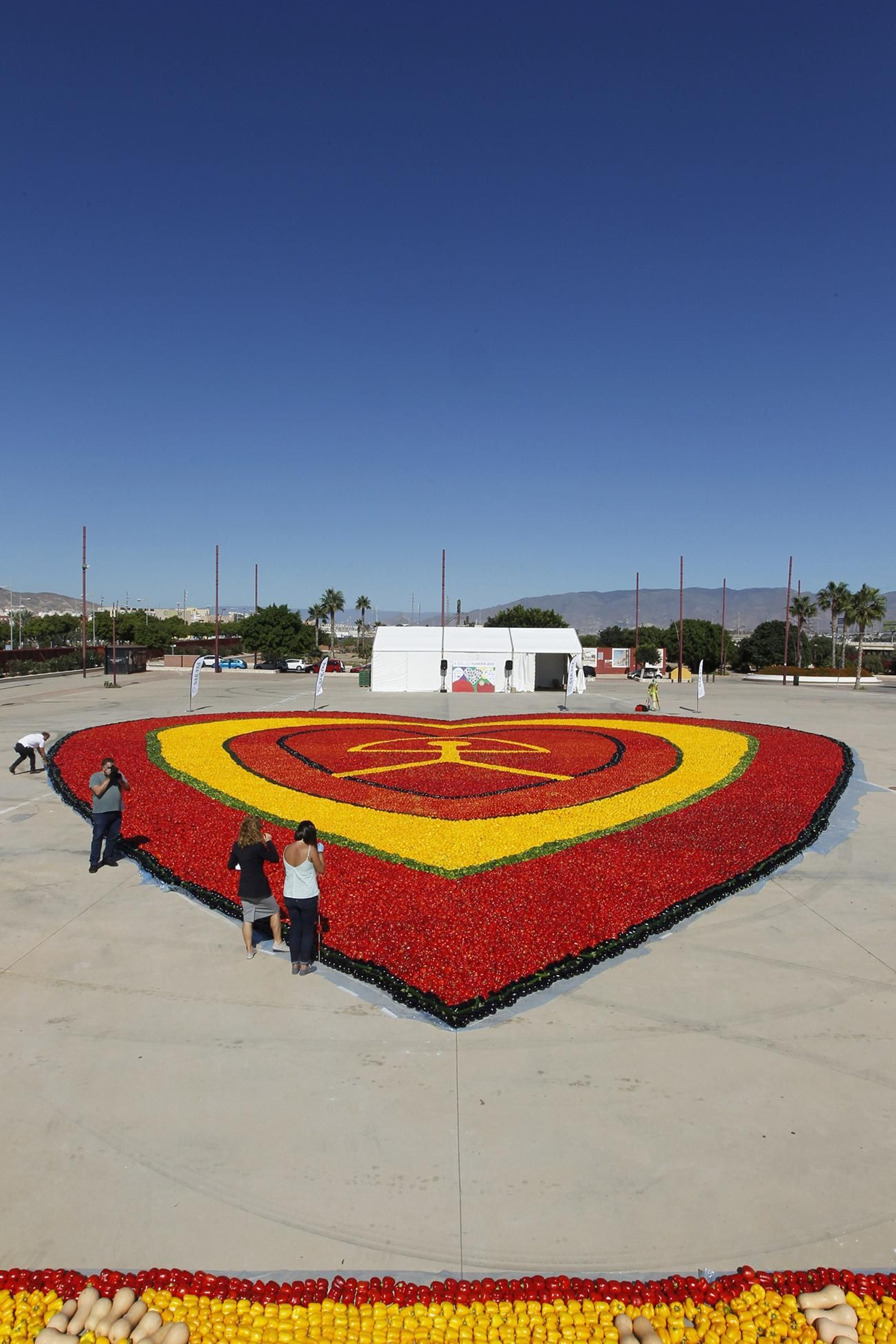 Fotogalería Récord Guinness Corazón Hortalizas Almería