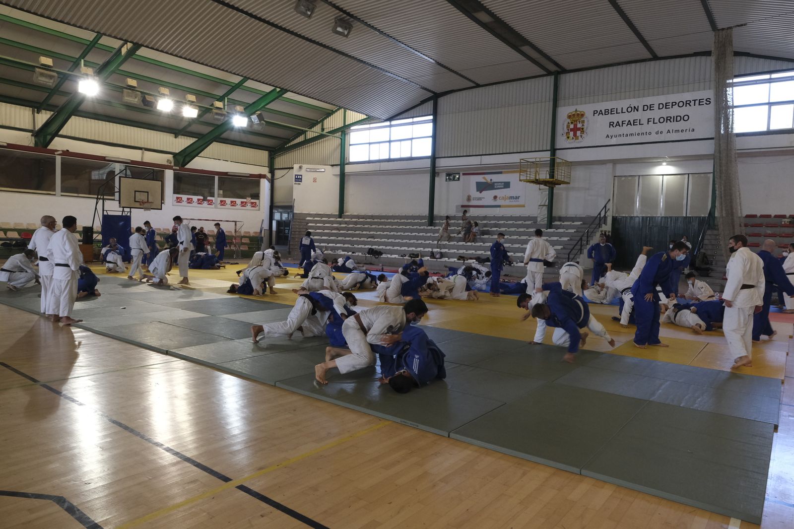 Fotogalería X Campus Internacional de Judo Ciudad de Almería