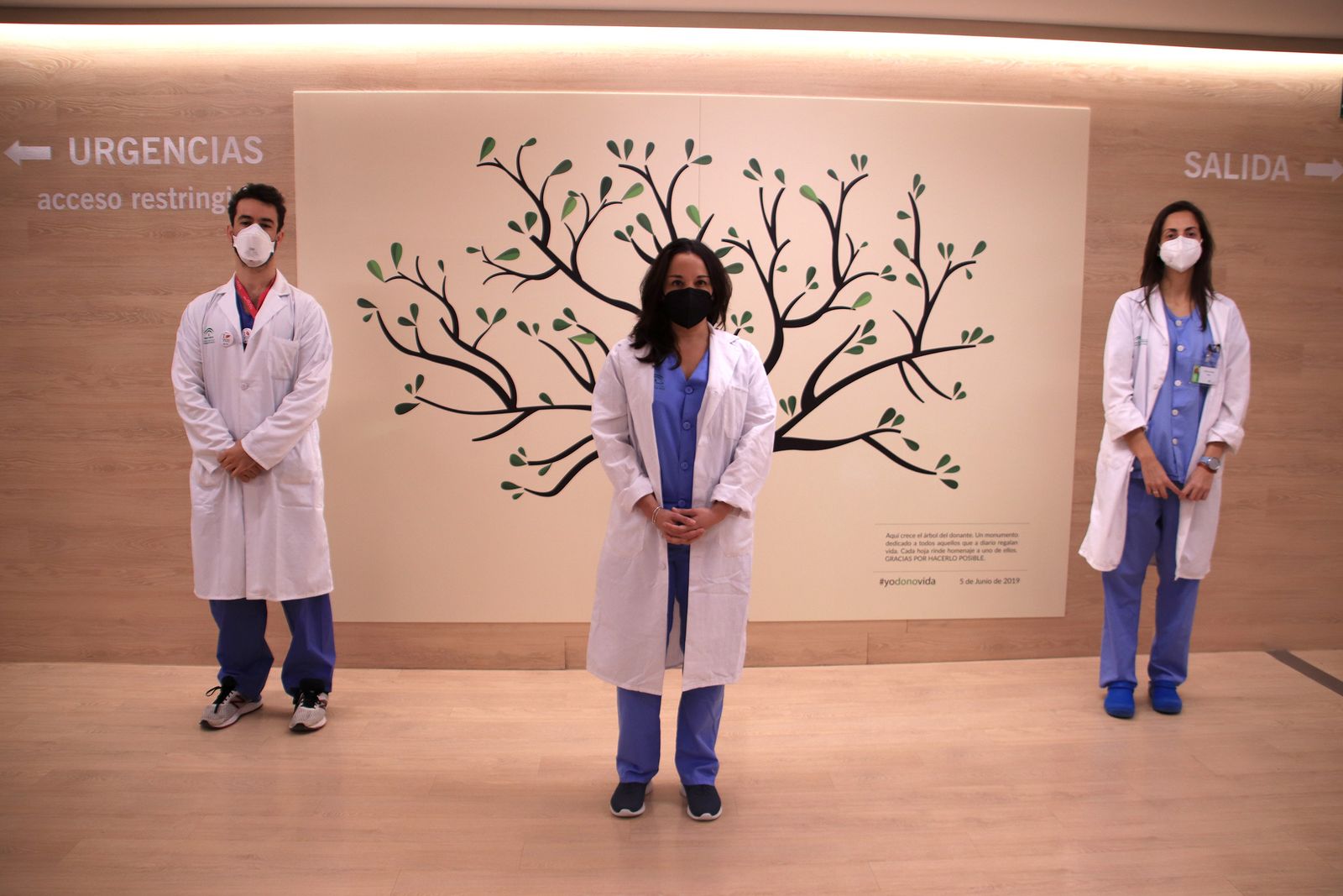 Los componentes de la Unidad de Coordinación de Trasplantes del Virgen Macarena.