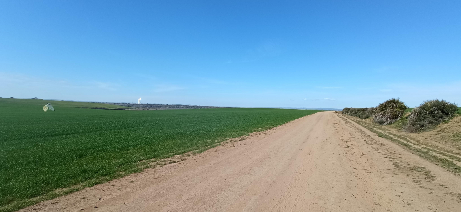 Las imágenes de la ruta de la dehesa de Albaida del Aljarafe