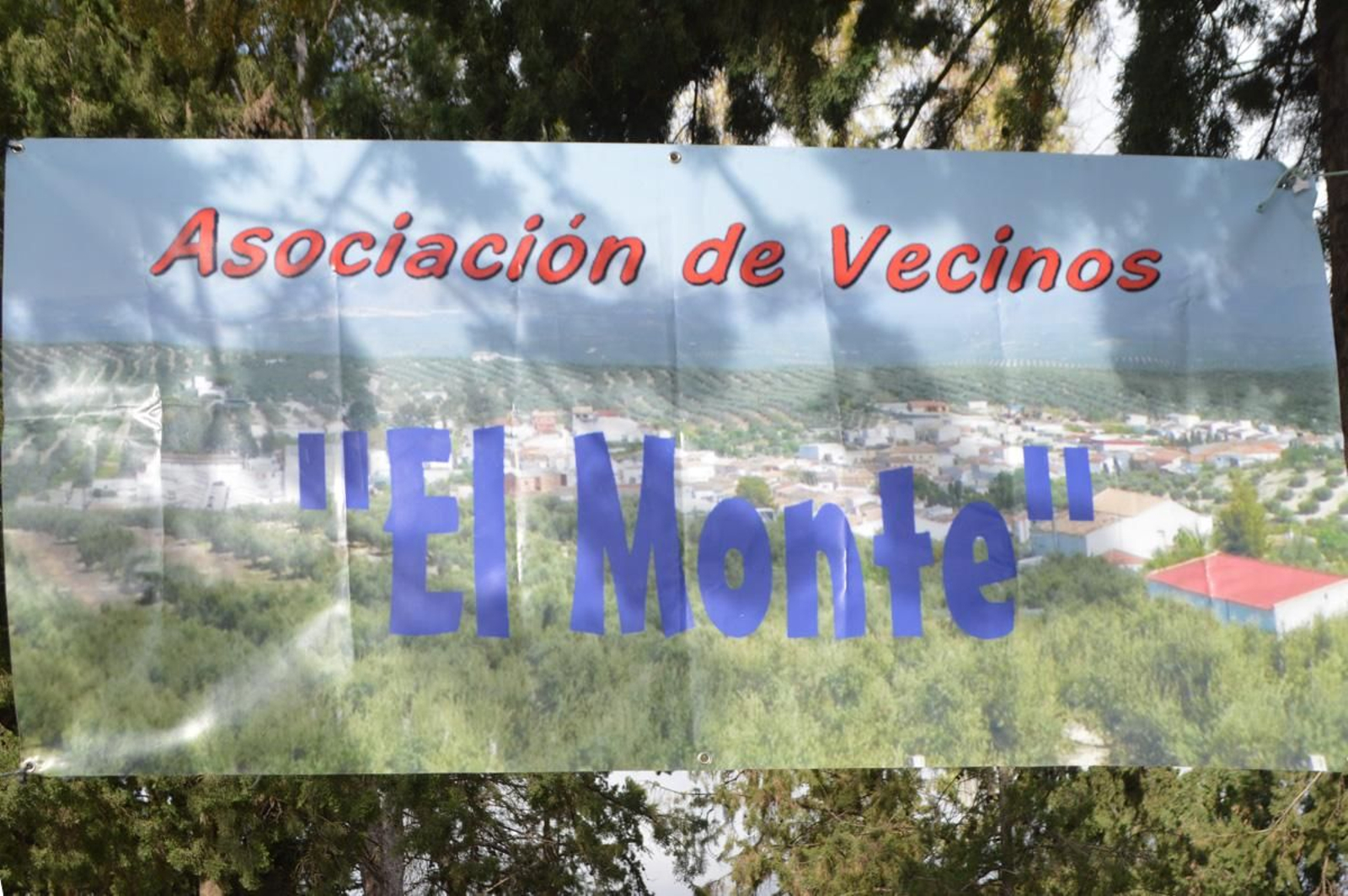 XXVI Fiesta del Hoyo de Monte Lope Álvarez, en imágenes