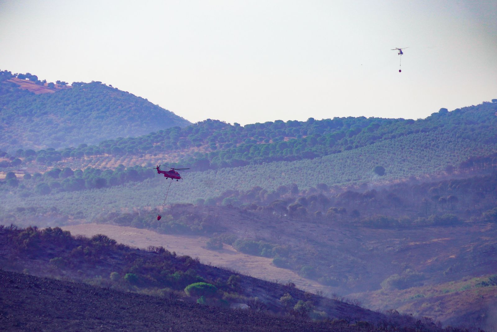 Zona del Puerto del Calatraveño devastada por las llamas.