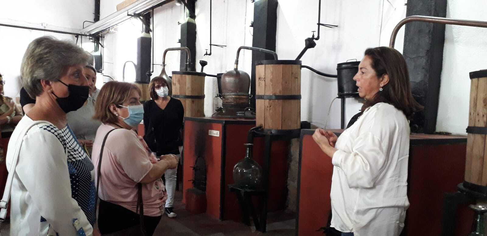 Los patios de El Puerto, en imágenes