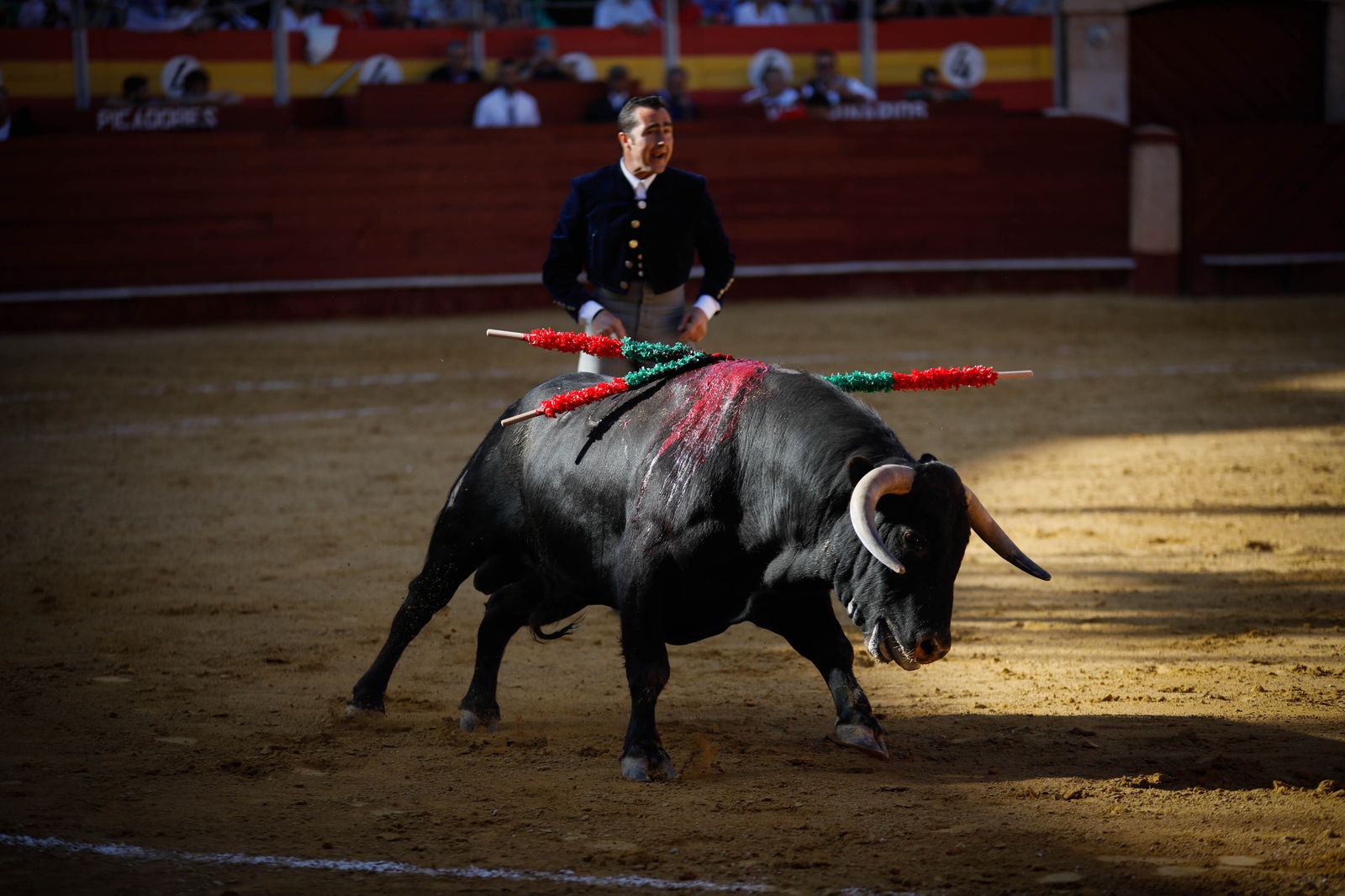 Imágenes del festival mixto lucha contra el cáncer