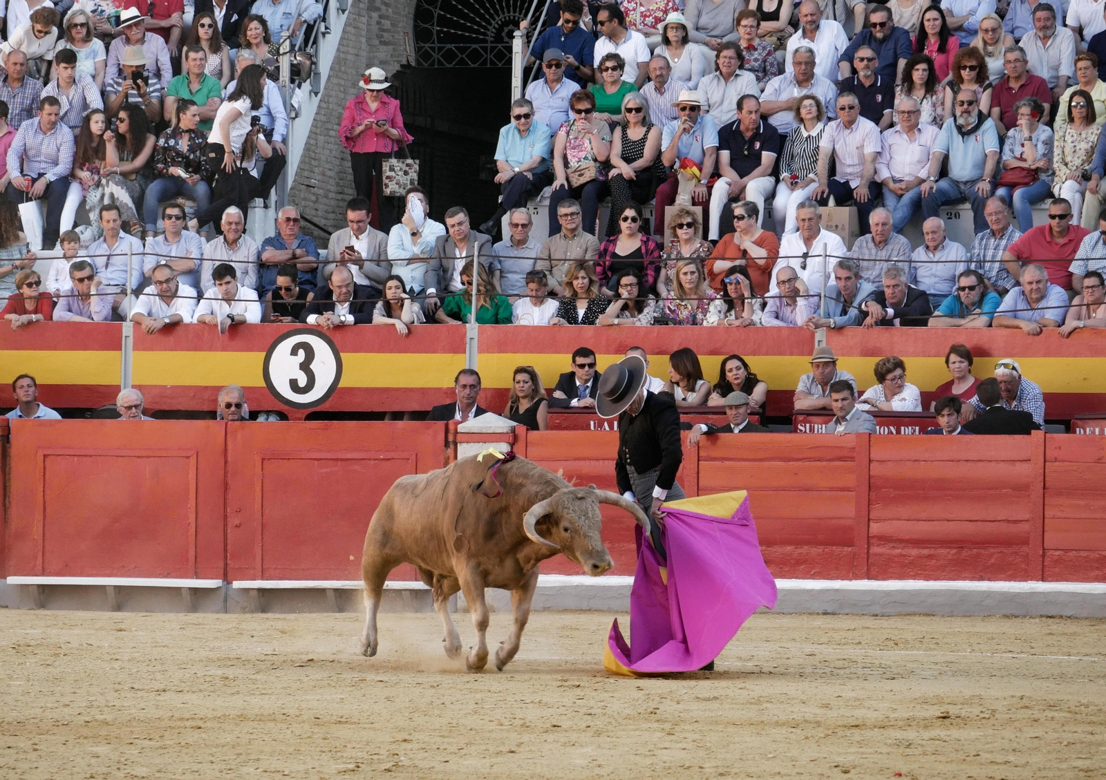 Festival taurino a beneficio de Down Granada