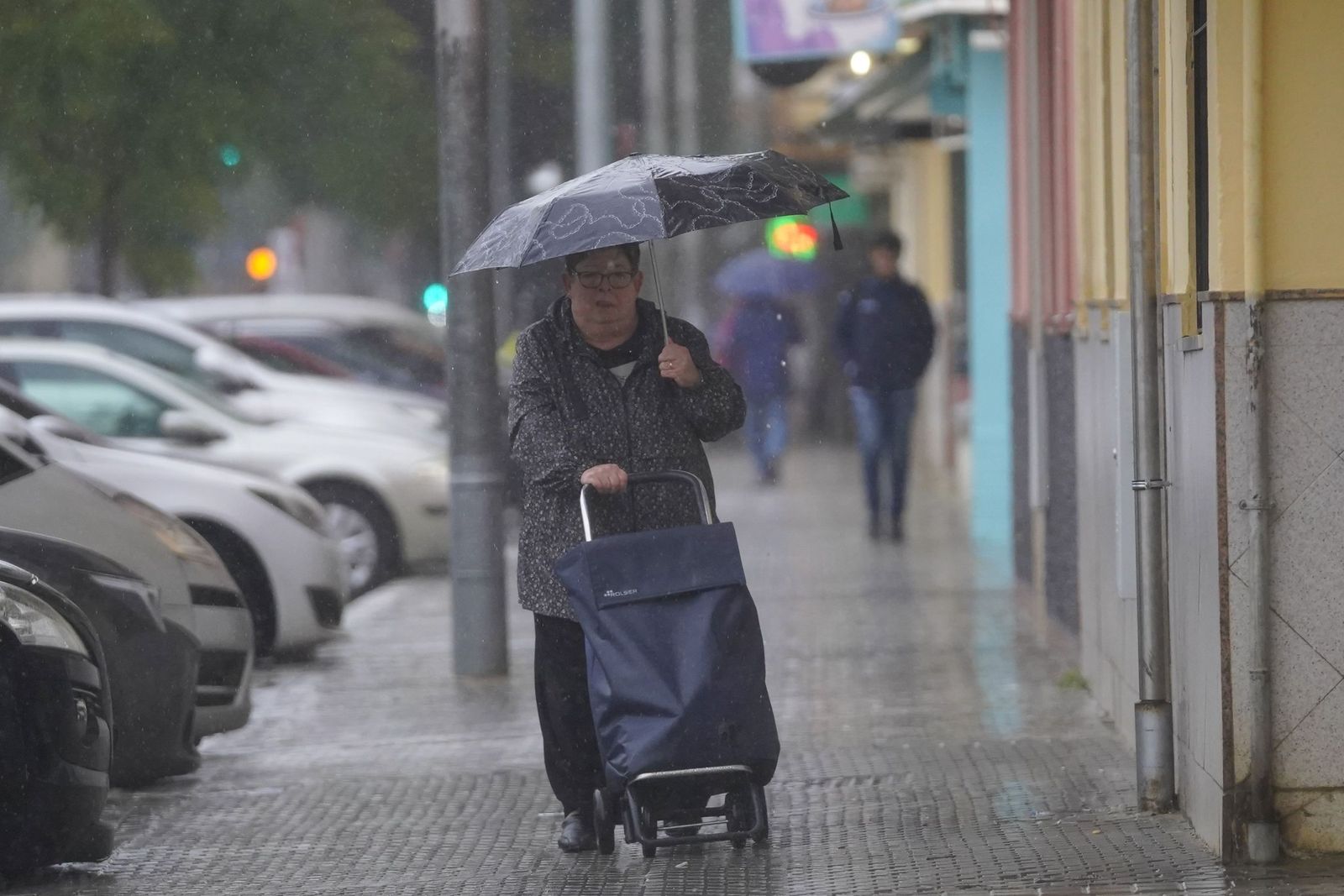 La intensa lluvia del miércoles 4 de Febrero, todas las fotos