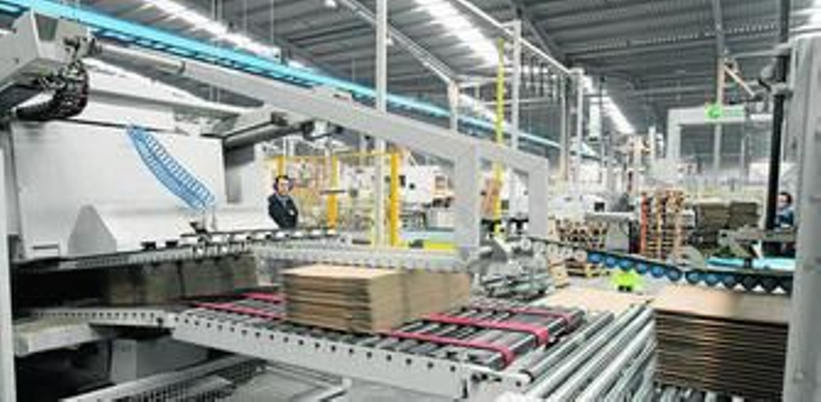 El cartón ondulado es una industria estratégica para la agricultura almeriense para comercializar sus productos.