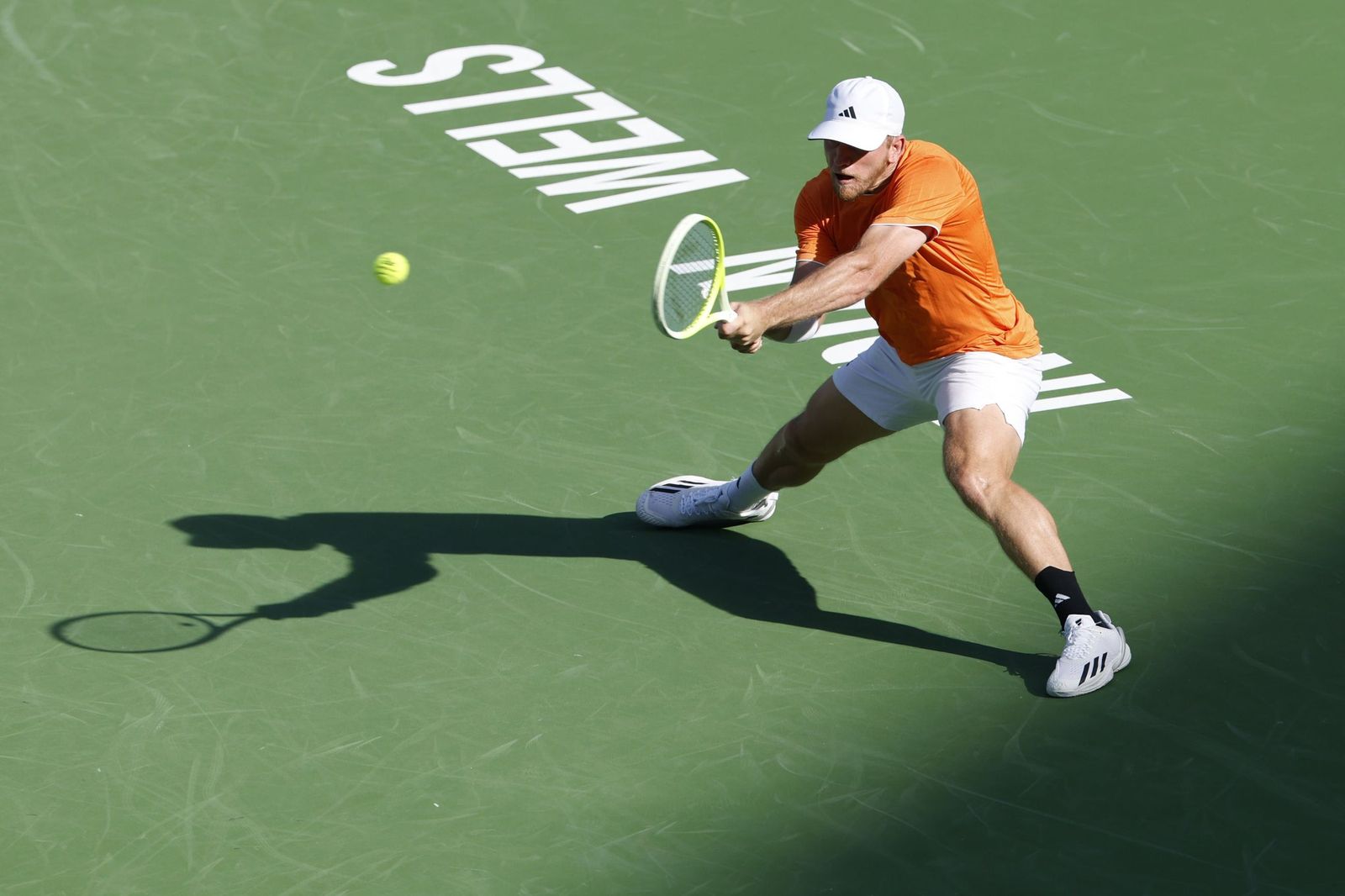 Alejandro Davidovich-Learner Tien, en fotos