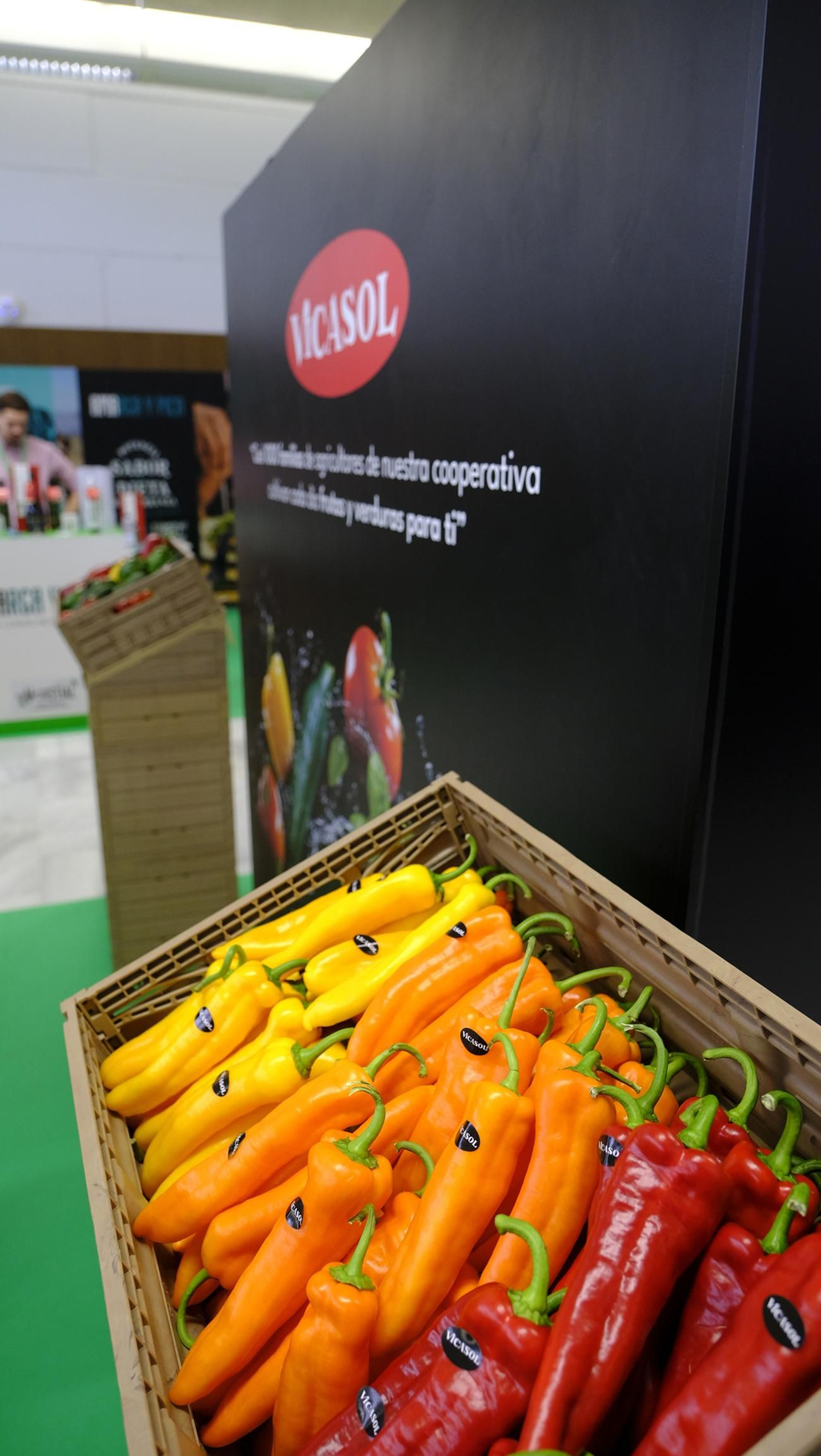 Primer día de Vestial 2023 en el Palacio de Congresos del Toyo-Retamar