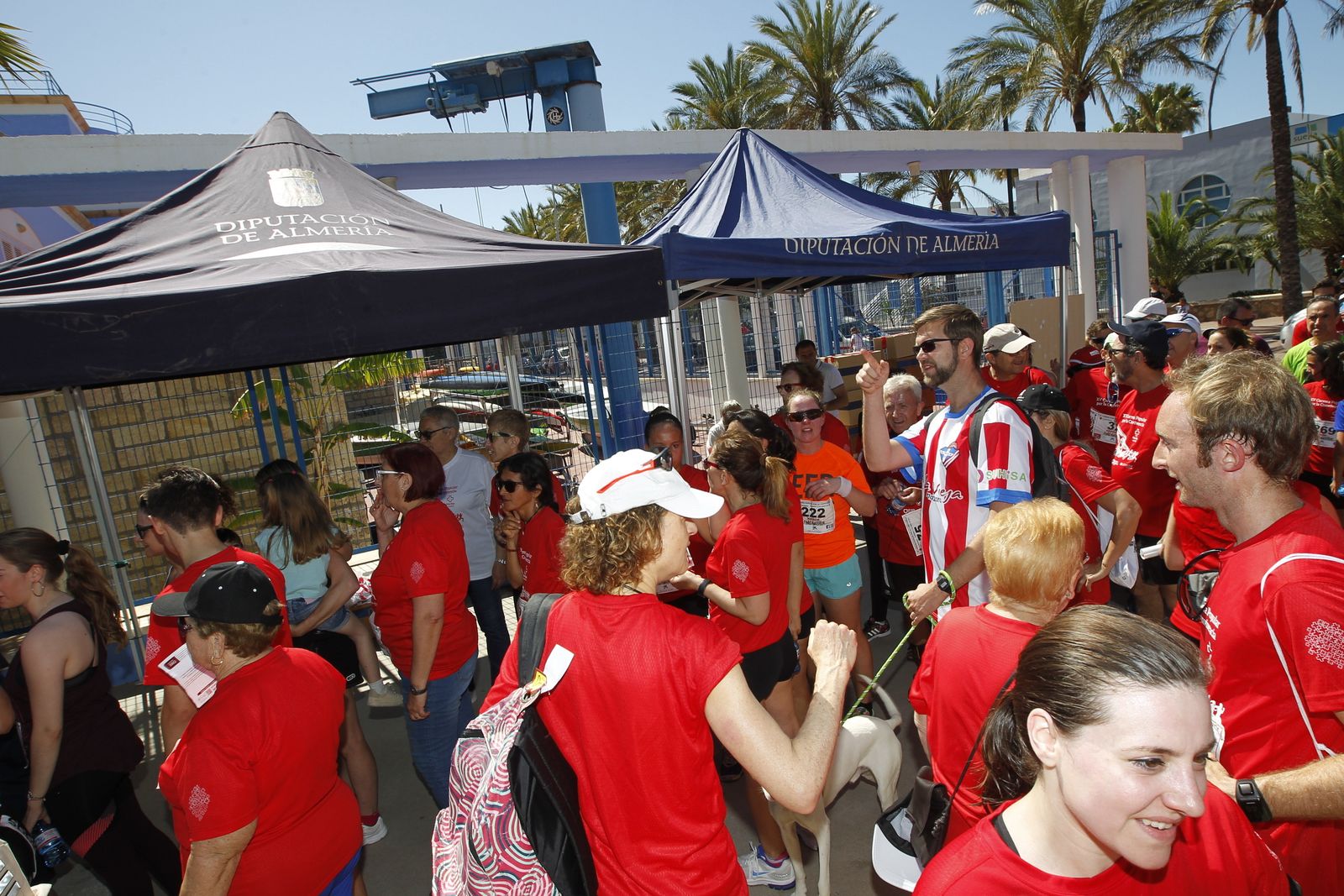 Las imágenes de la Carrera de Cruz Roja