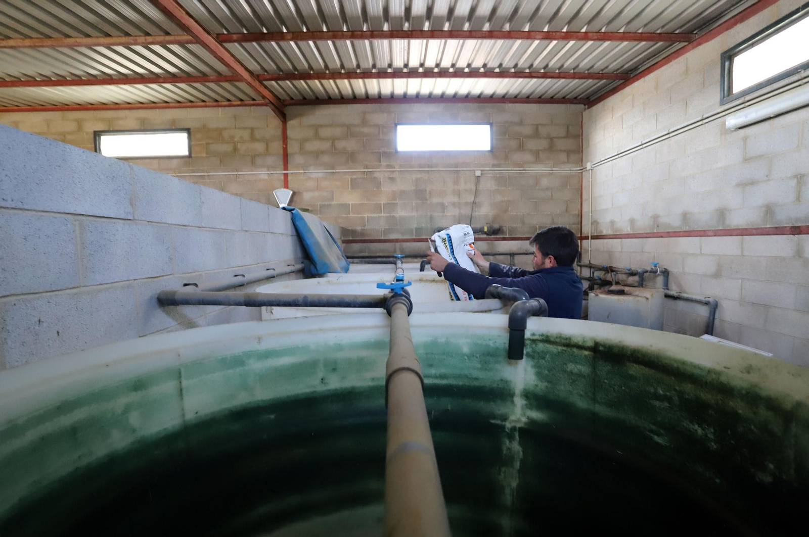 Imágenes de la realidad del trabajo en el campo