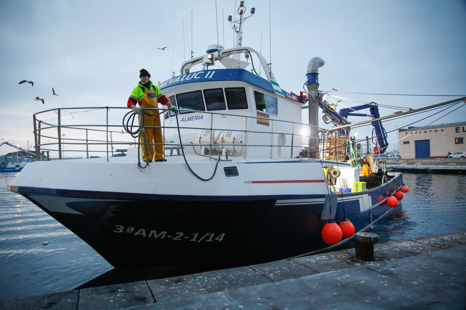 Te contamos en imágenes como ha sido la descarga de las traiñas en la lonja de Almería