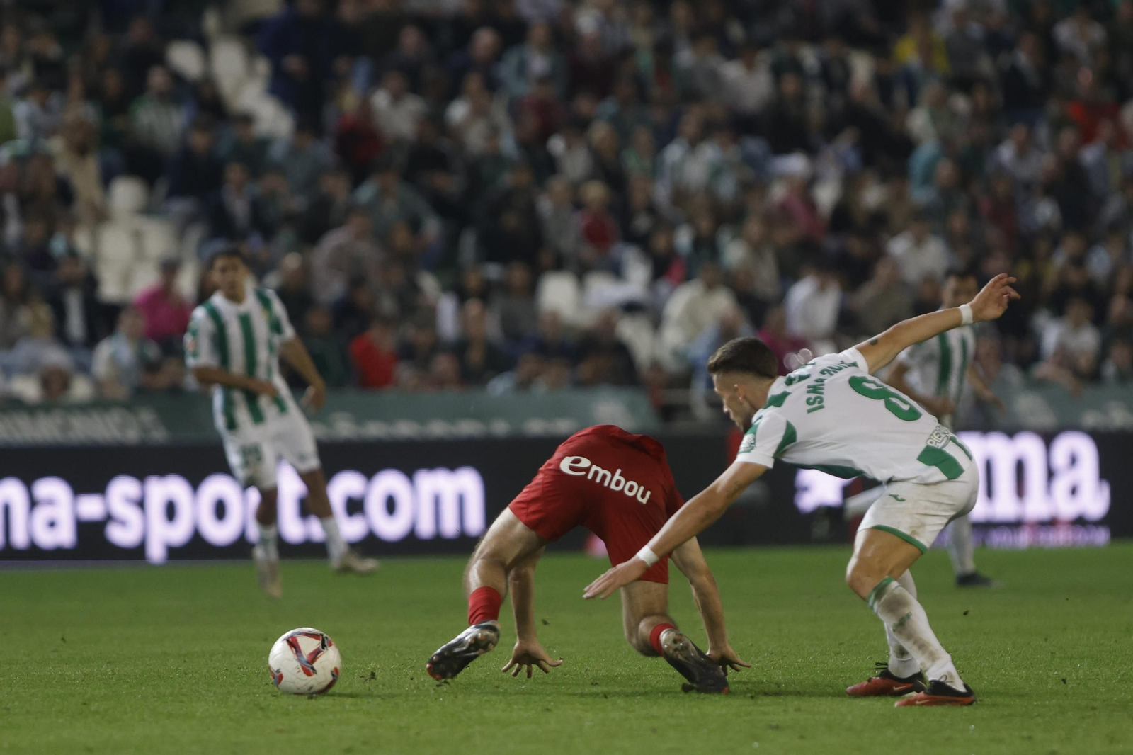 Las mejores fotos del ambiente en el Córdoba CF - Zaragoza en El Arcángel