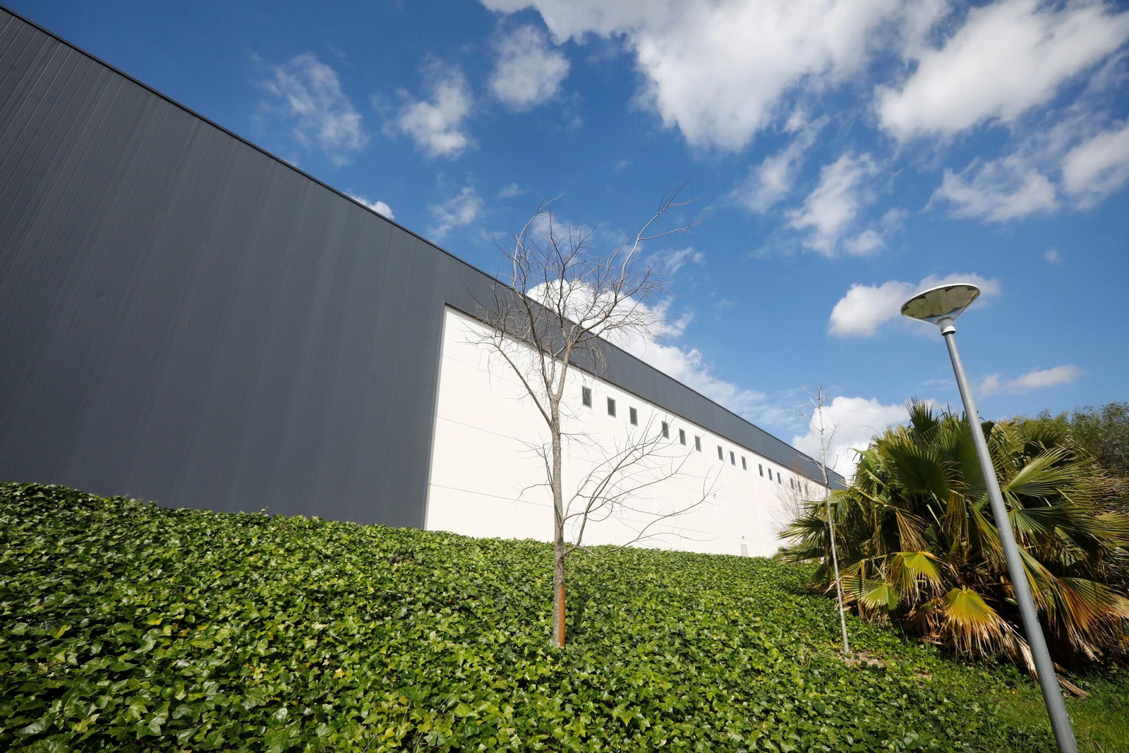 Las zonas verdes repobladas del Hospital Reina Sofía de Córdoba, en imágenes