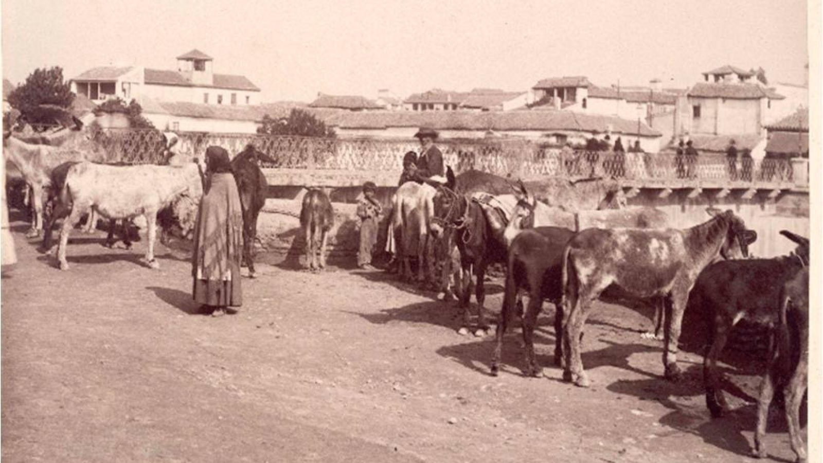 Ayola. Feria de Ganado.