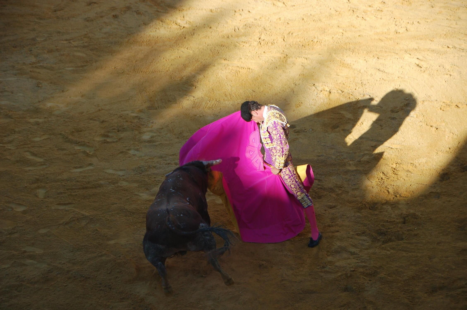 Moli de Ronda, a la verónica.