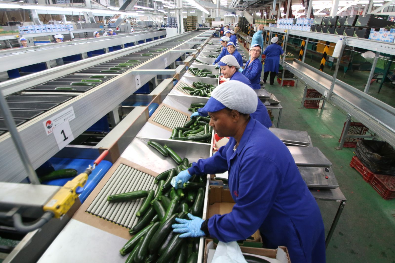 Las imágenes de la visita de Susana Díaz a Almería