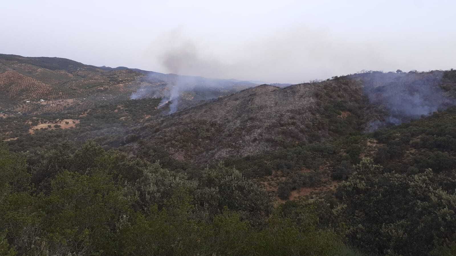 El Infoca trabaja en un incendio forestal en un paraje natural de Pozoblanco