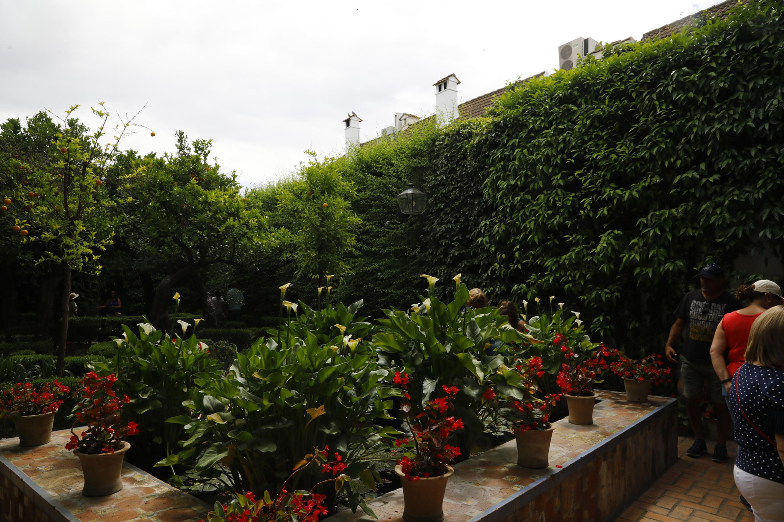 La jornada de puertas abiertas en el Palacio de Viana de Cordoba, en imágenes