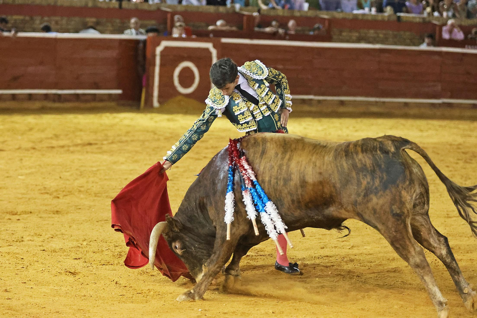 Toros La Merced 2024 Novillada con picadores(