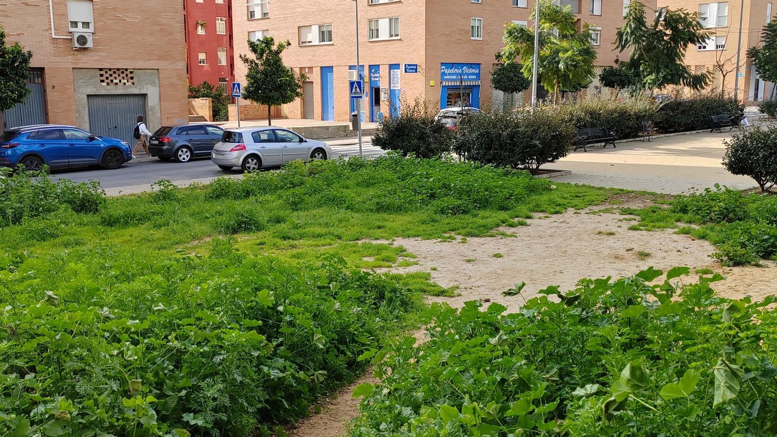 Espacio donde el PSOE dice que preveía la instalación deportiva.