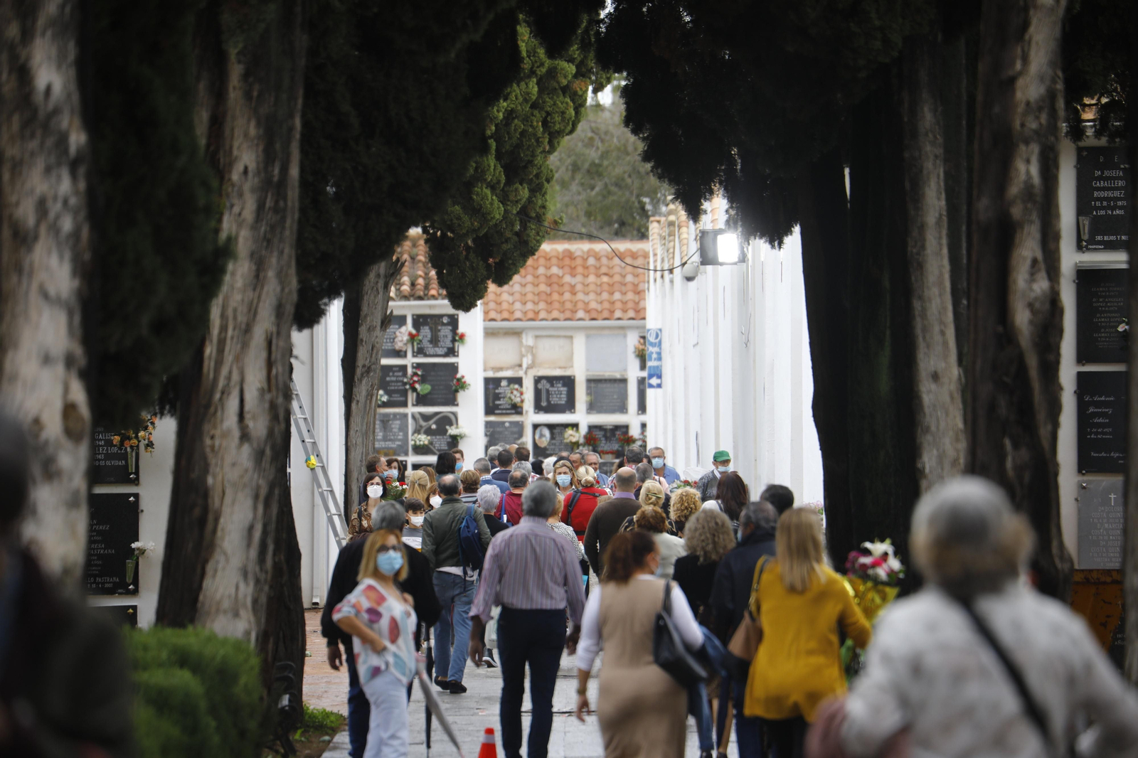 El Día de Todos los Santos de Córdoba, en fotografías