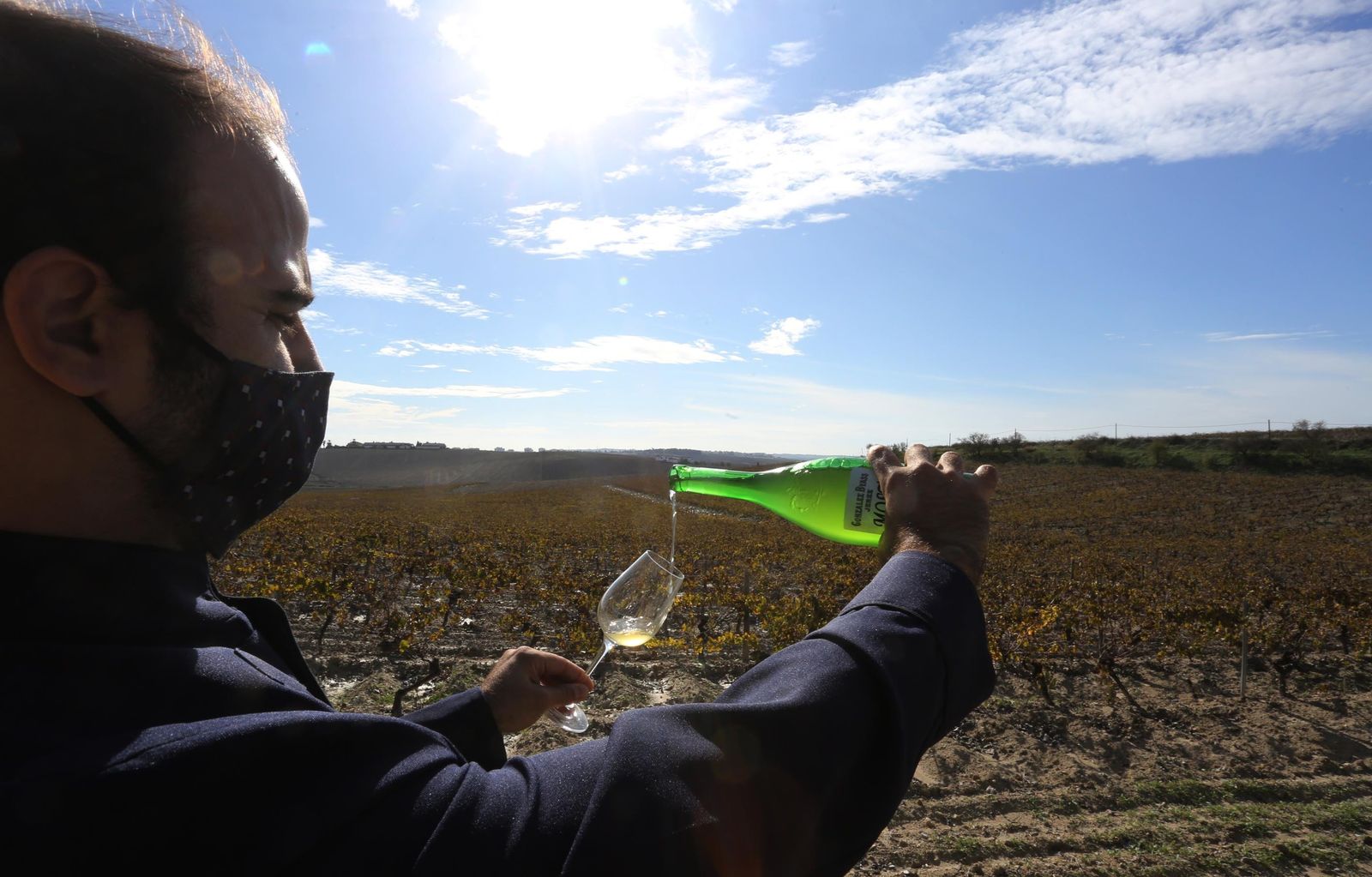 Imágenes del primer mosto del año de González Byass