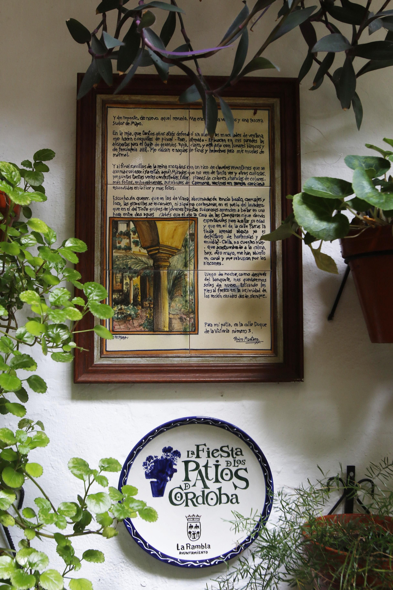 Los Patios de Córdoba en tiempos de crisis: Duque de la Victoria, 3