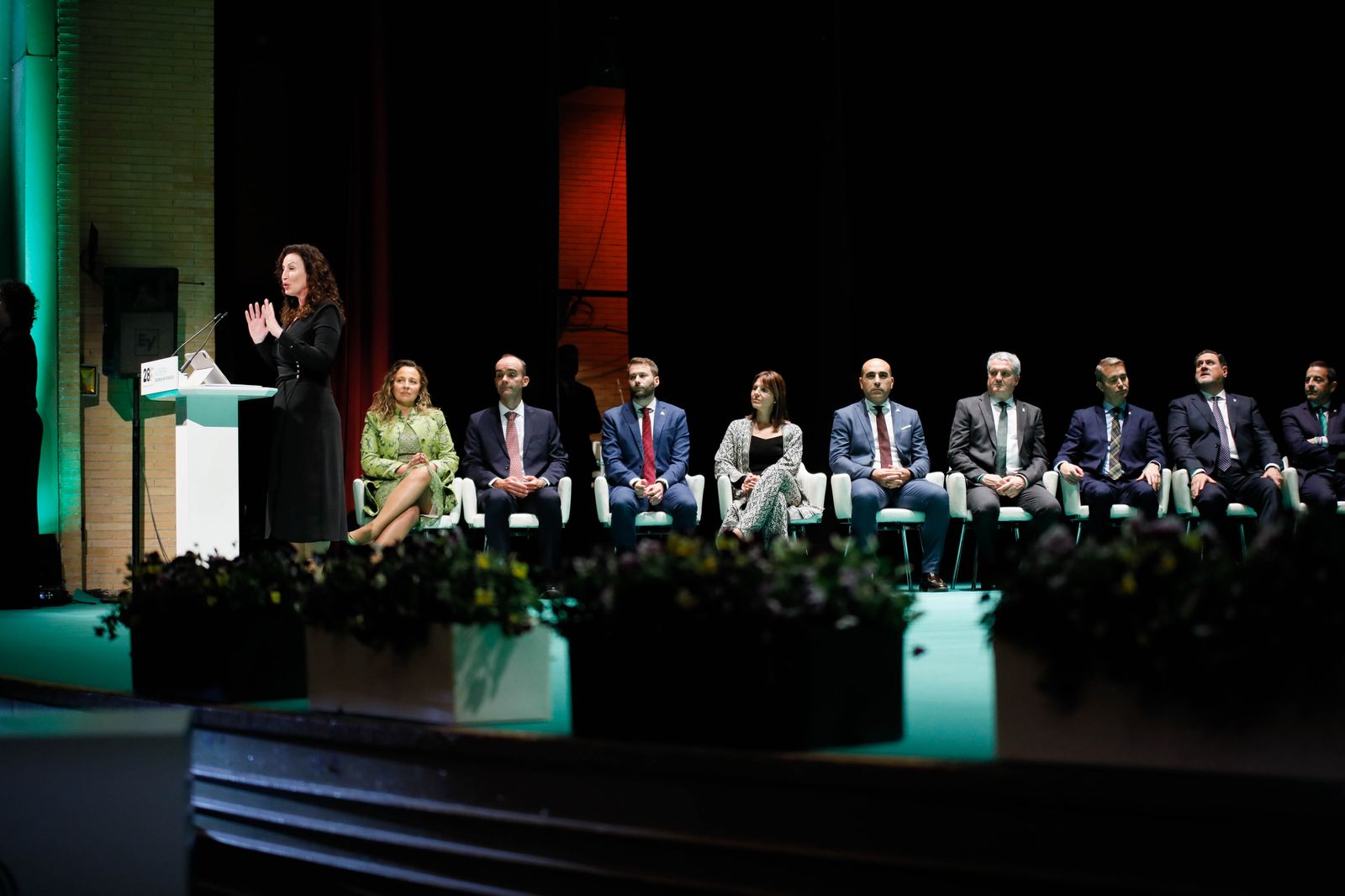 Imágenes de las entregas de las banderas de Andalucía