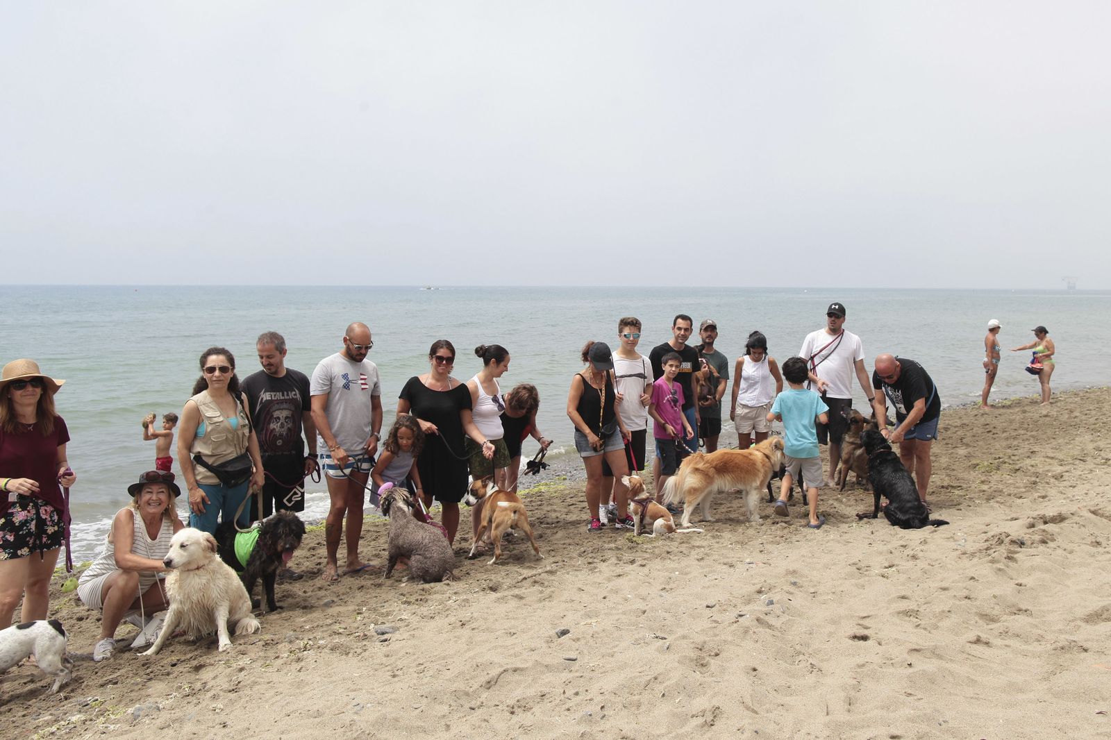 Una de las playas caninas.