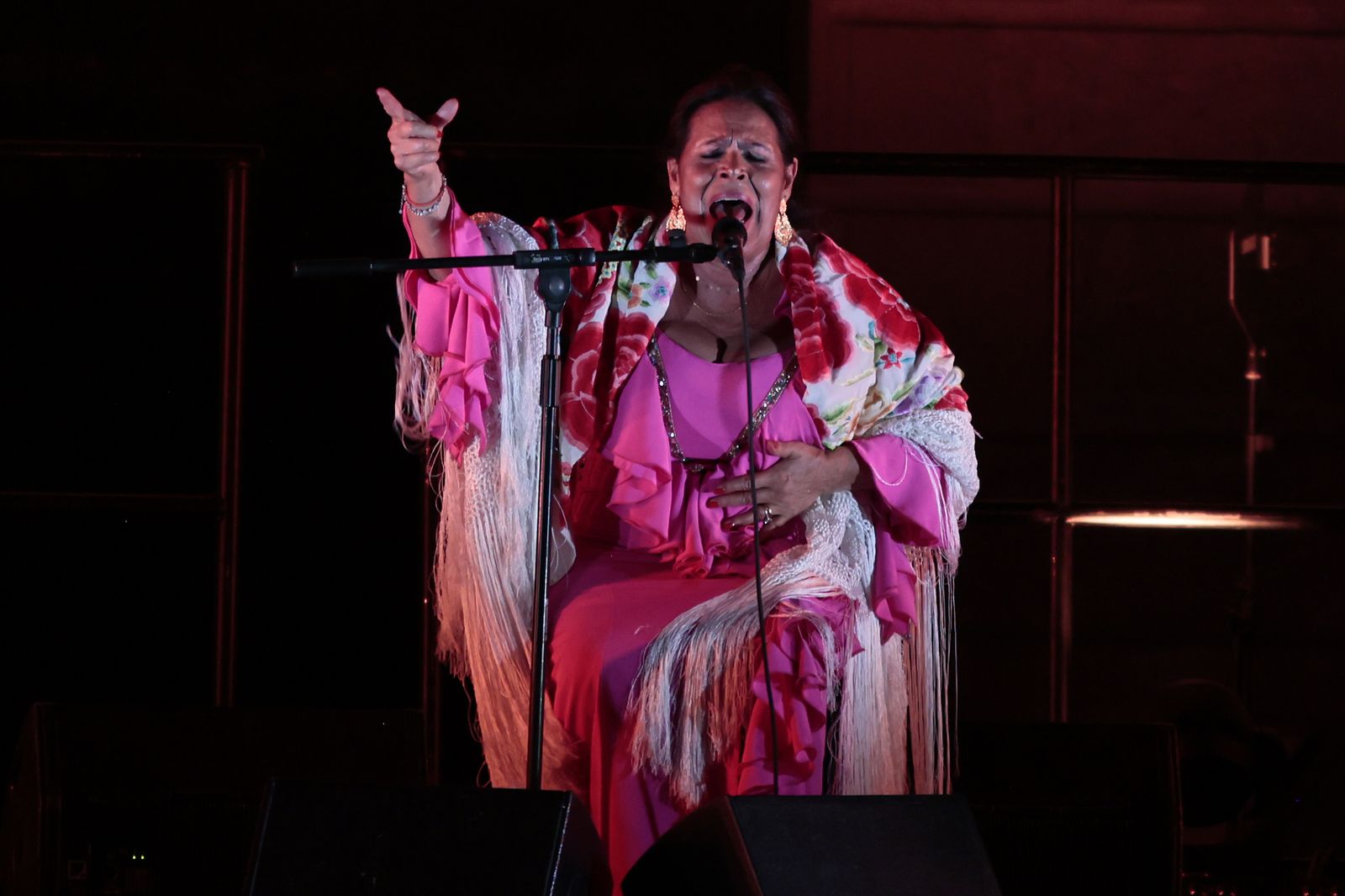 Las imágenes del recital de Aurora Vargas en la Bienal