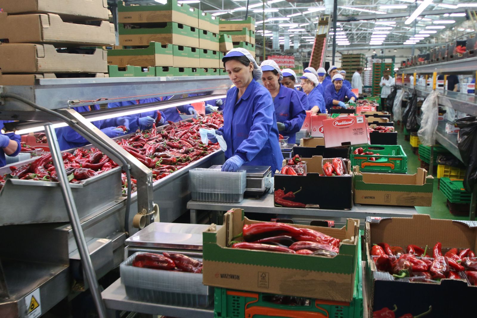 Instalaciones de Vicasol, una de las firmas socias de Coexphal.